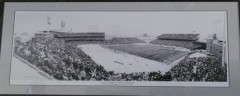 Picture15