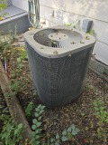 IMG_20261011_203153