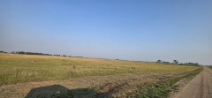 20260728_1924430