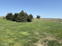 IMG_20260831_220246-3