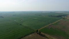 DJI_0865
