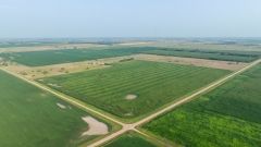 DJI_0877