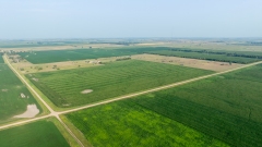 DJI_0879