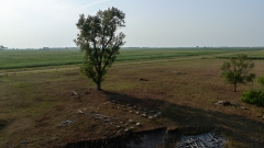 DJI_0884