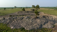 DJI_0890